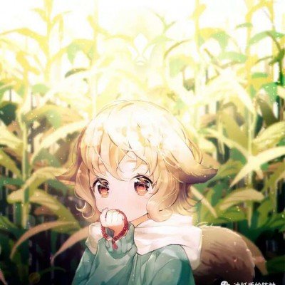 트럼프, 이탈리아 멜로니 총리 맹공... 